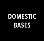 DOMESTIC BASES